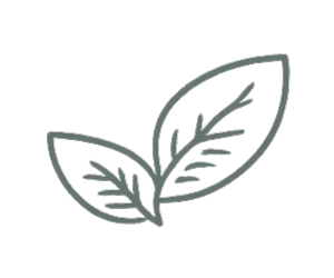 Leaf icon representing study focus and well-being